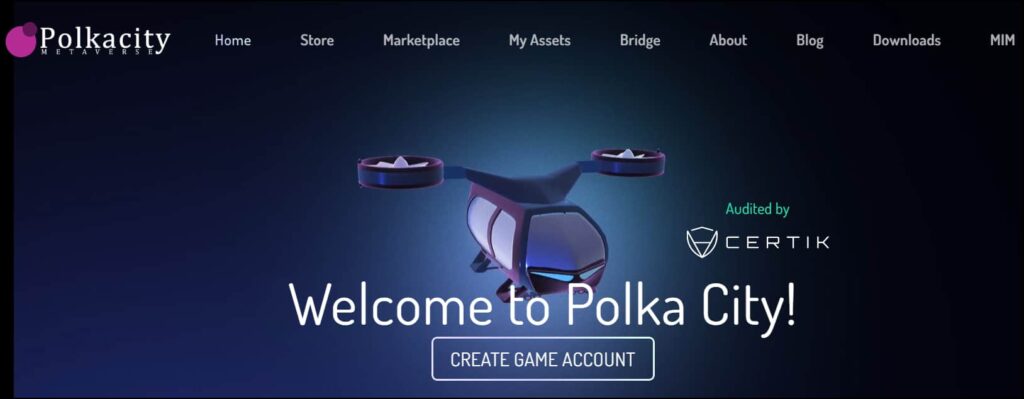 Polkacity